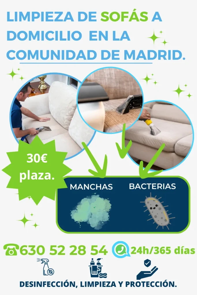 limpieza profesional de sofas a domicilio en Montecarmelo