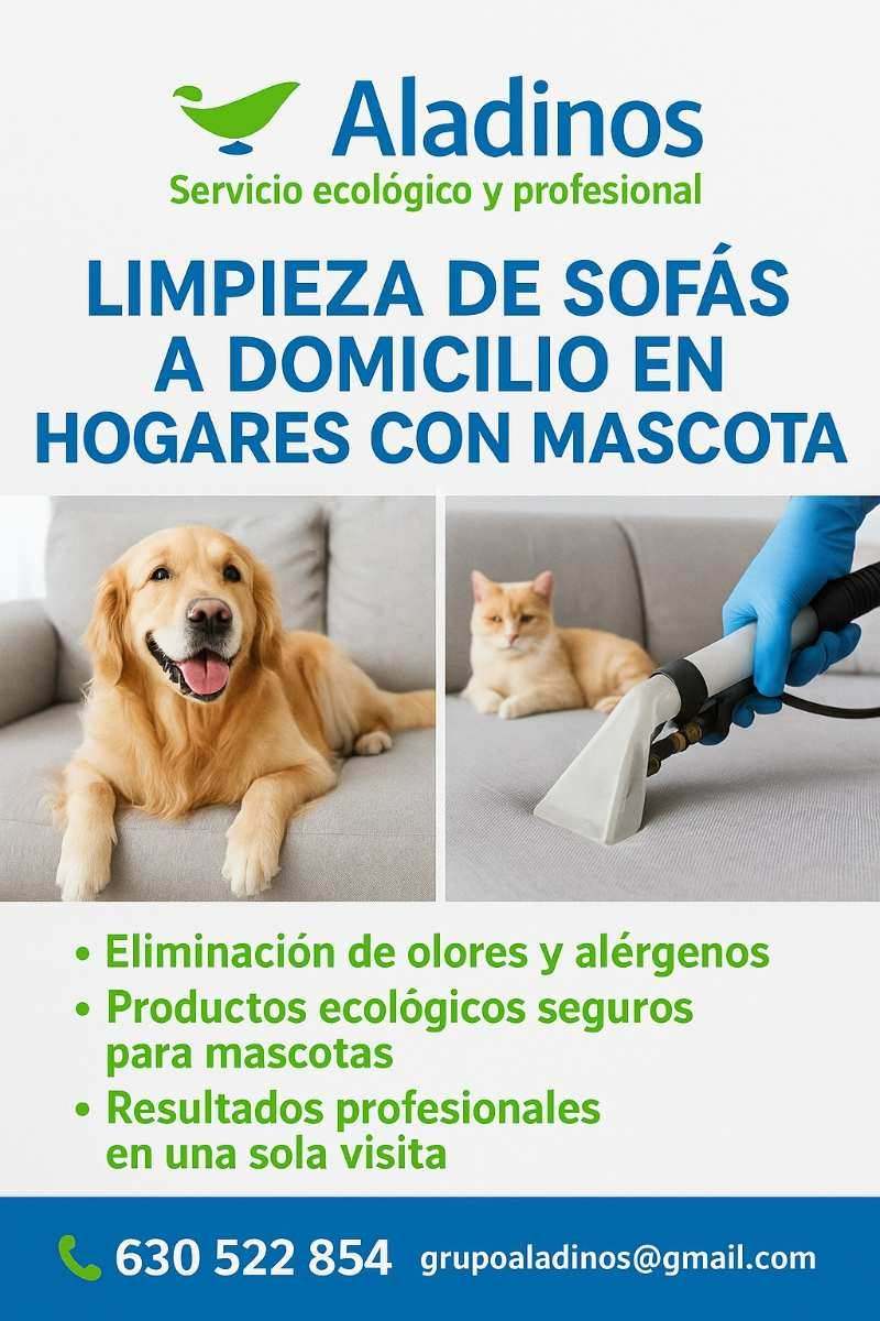 Limpieza de sofás con mascotas en La Moraleja